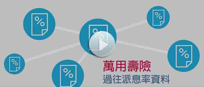 過往派息率簡介